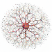 Neurona